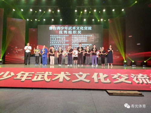 情系两岸，武动青春 第十届鲁台青少年武术文化交流活动在我市圆满举行